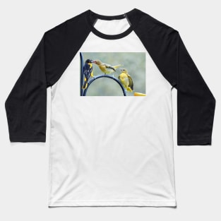 Hungry fledglings Baseball T-Shirt